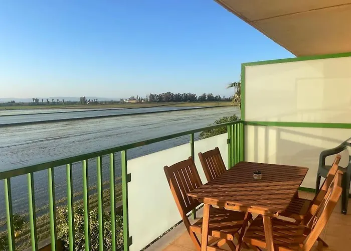 Delta De L'ebre, In Eucaliptus Apartment *